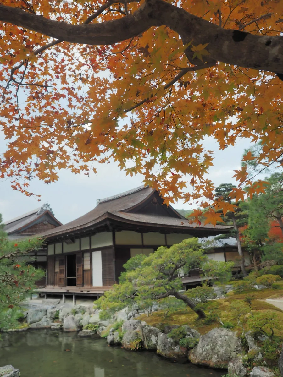 投稿写真：慈照寺東求堂　紅葉