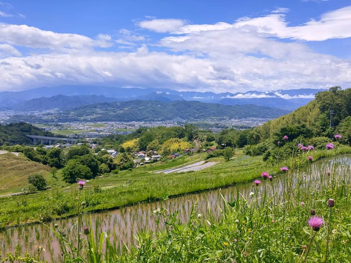 投稿写真：長野　稲倉の棚田
