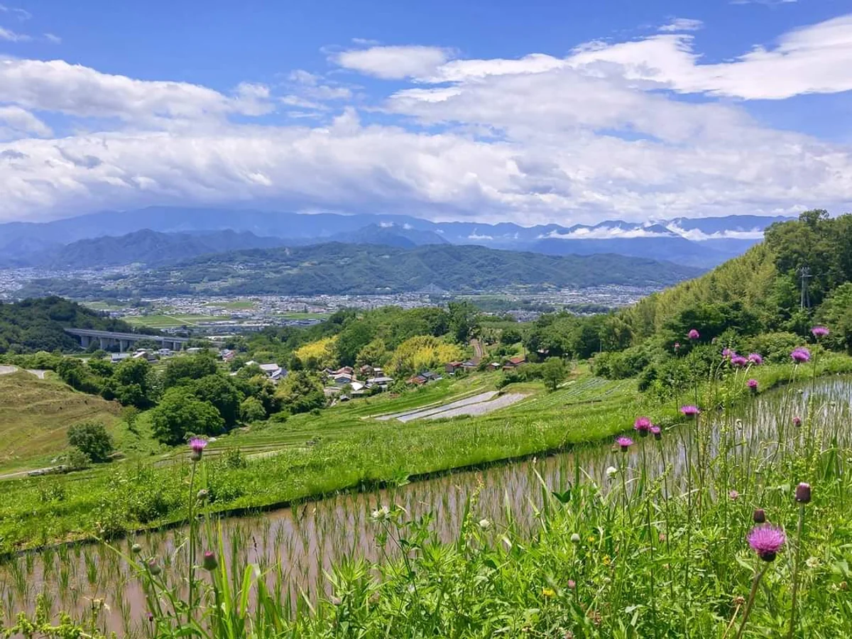 投稿写真：長野　稲倉の棚田