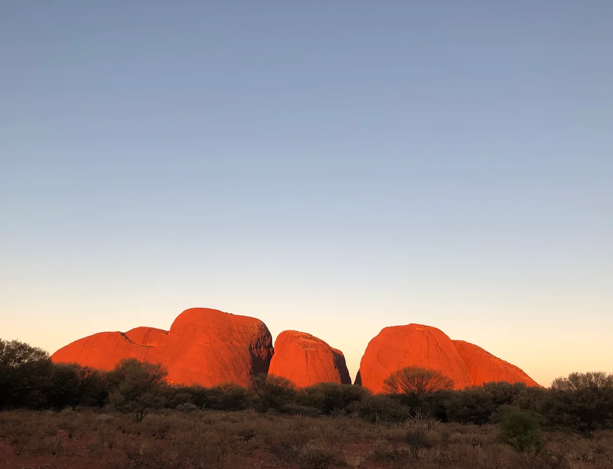 投稿写真：赤いカタジュタ