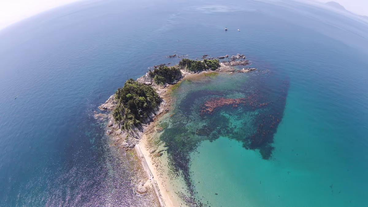 投稿写真：五十谷三島（いやみしま）