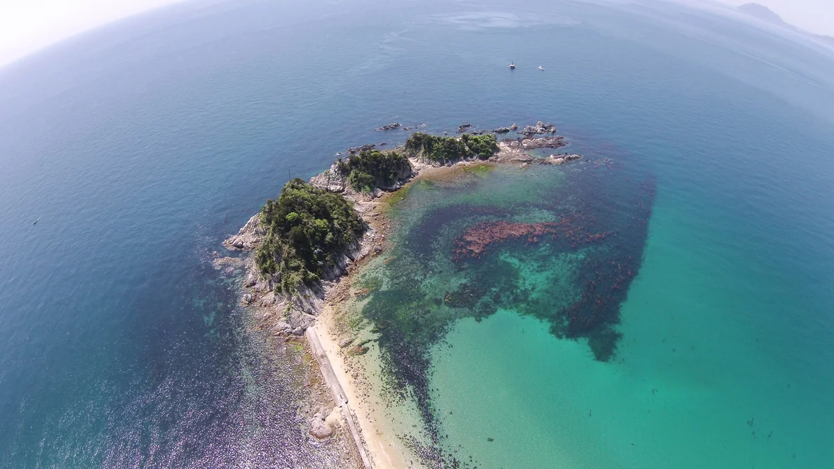 投稿写真：五十谷三島（いやみしま）