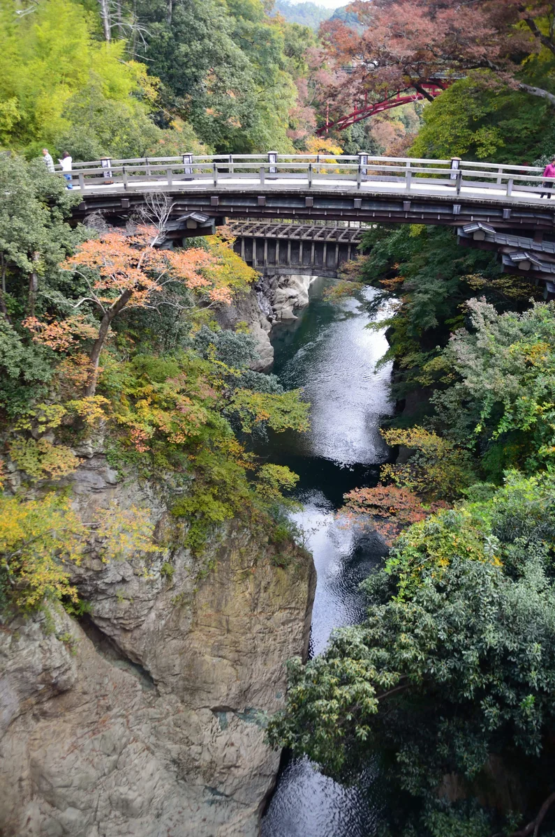 投稿写真：秋の猿橋