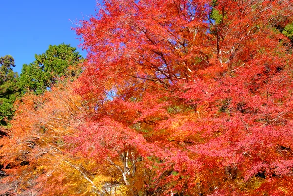 投稿：大原の先へ