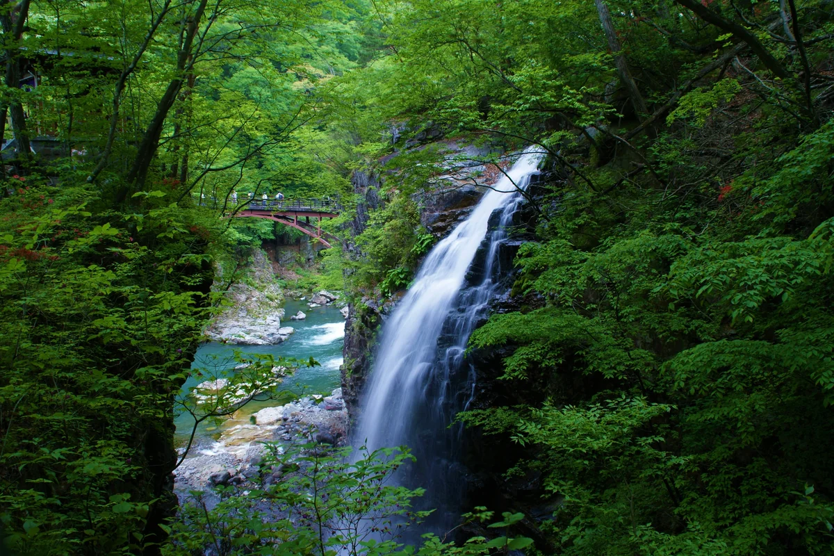 投稿写真：鬼怒川ハイキングコース