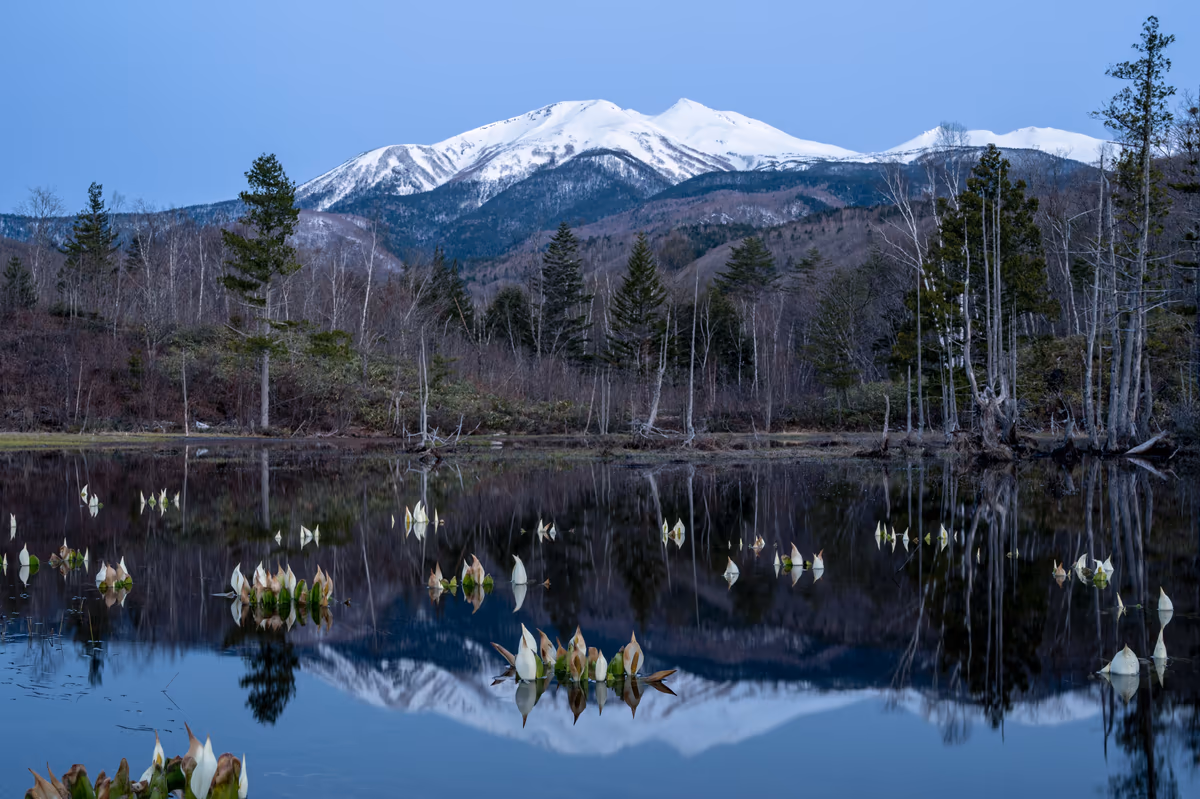 投稿写真：春の息吹