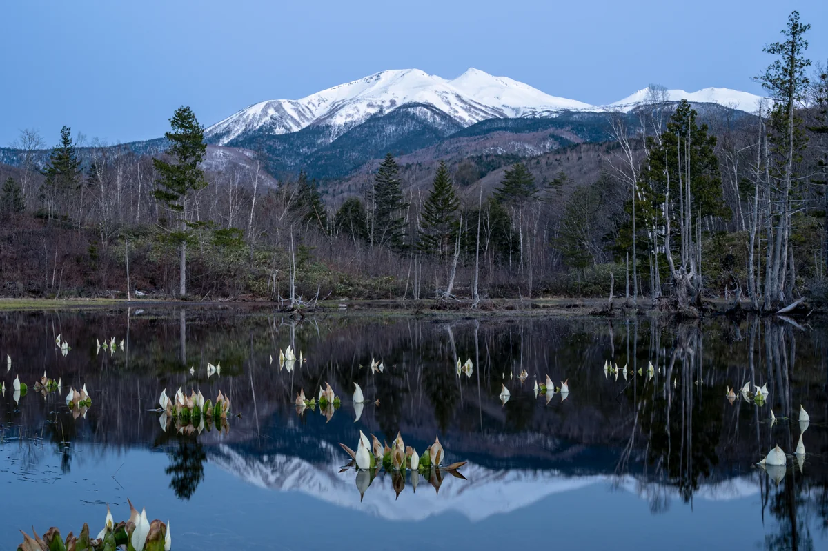 投稿写真：春の息吹