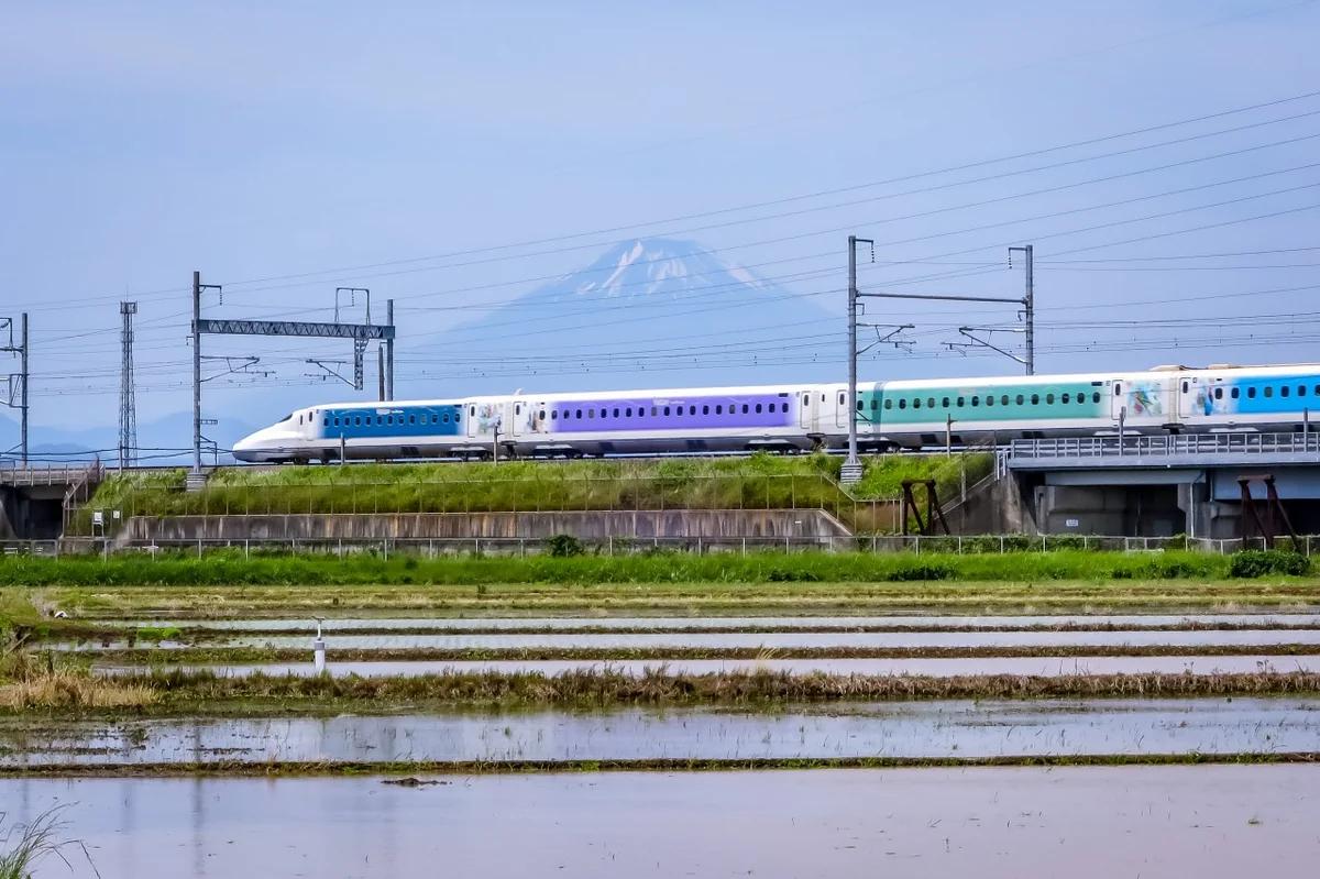 投稿写真：ディズニー新幹線と富士山