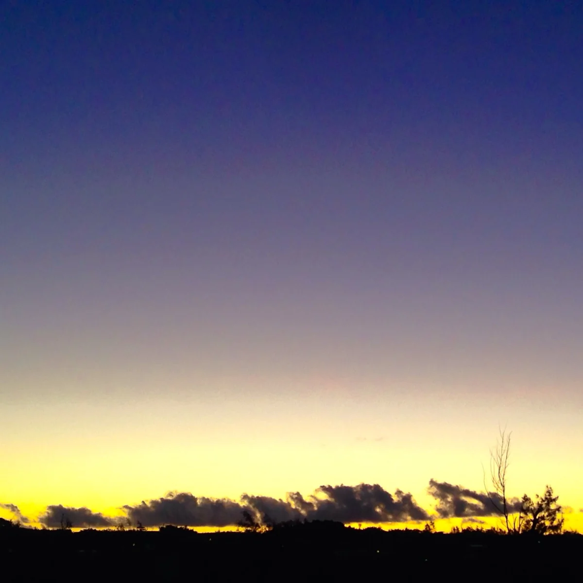 投稿写真：西表島