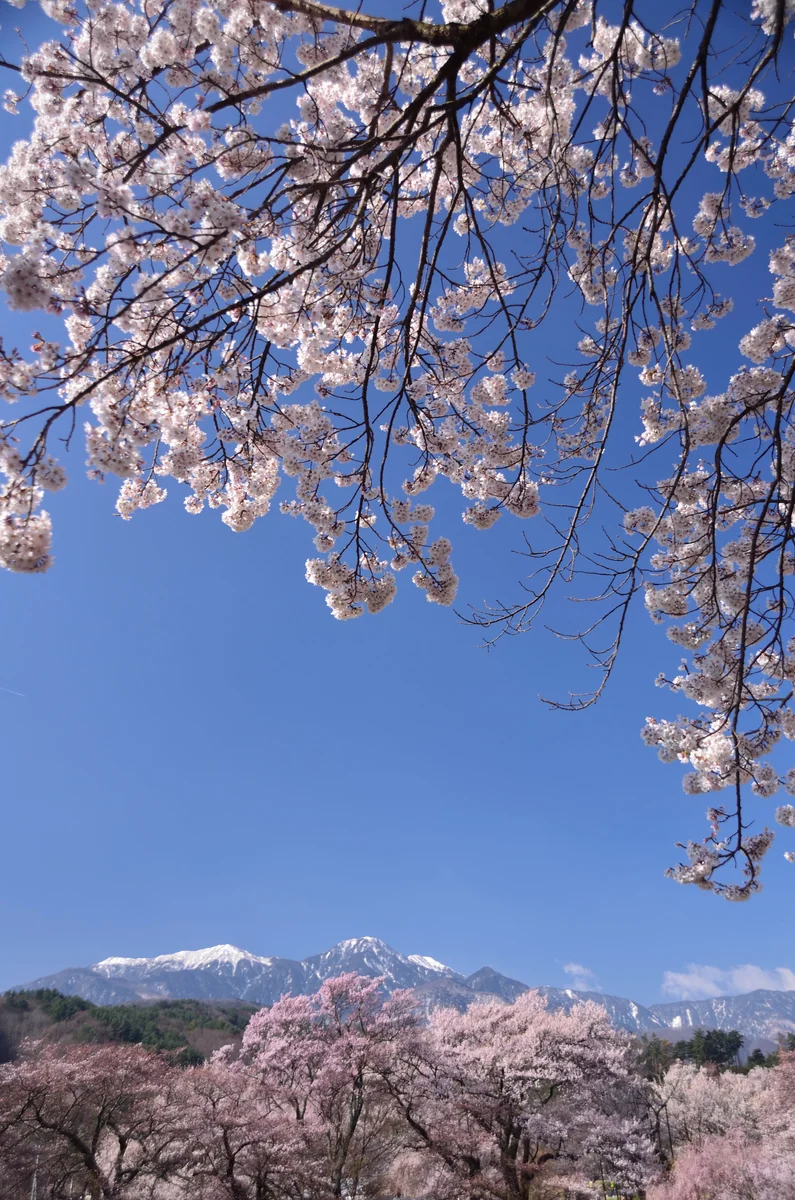 投稿写真：南アルプスの青の空