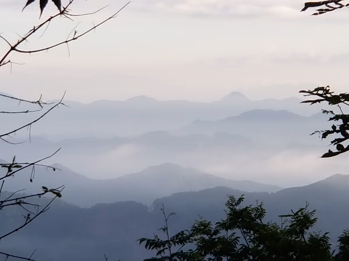 投稿写真：三峯神社 奥宮