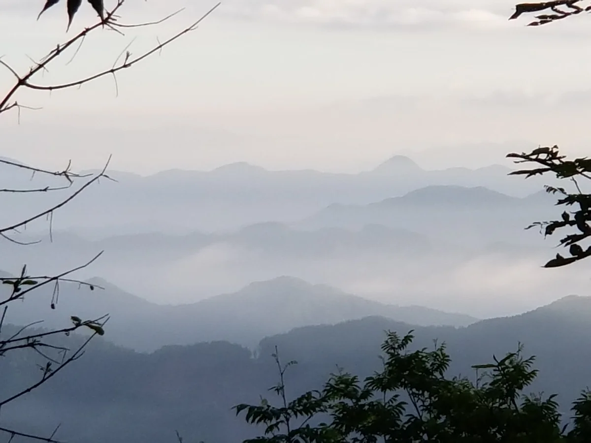 投稿写真：三峯神社 奥宮