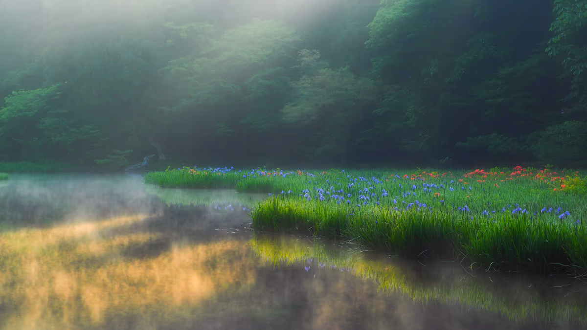 投稿写真：平池幻想