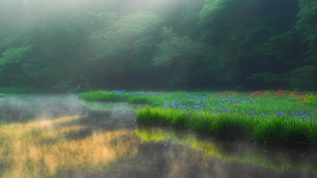投稿写真：平池幻想