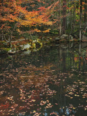  | 絶景事典