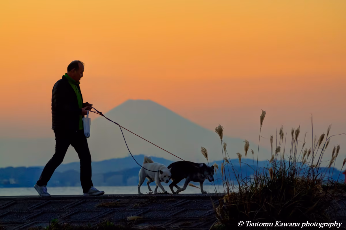 投稿写真：たそがれの富士山に優しい時が流れる
