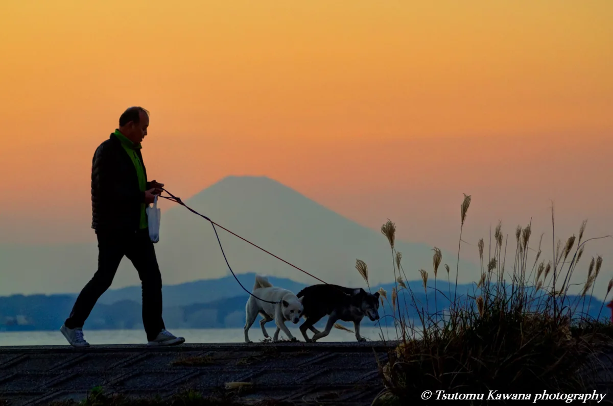 投稿写真：たそがれの富士山に優しい時が流れる