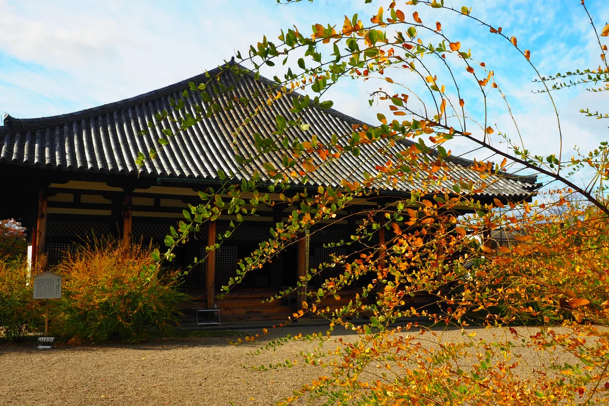 投稿写真：元興寺極楽堂