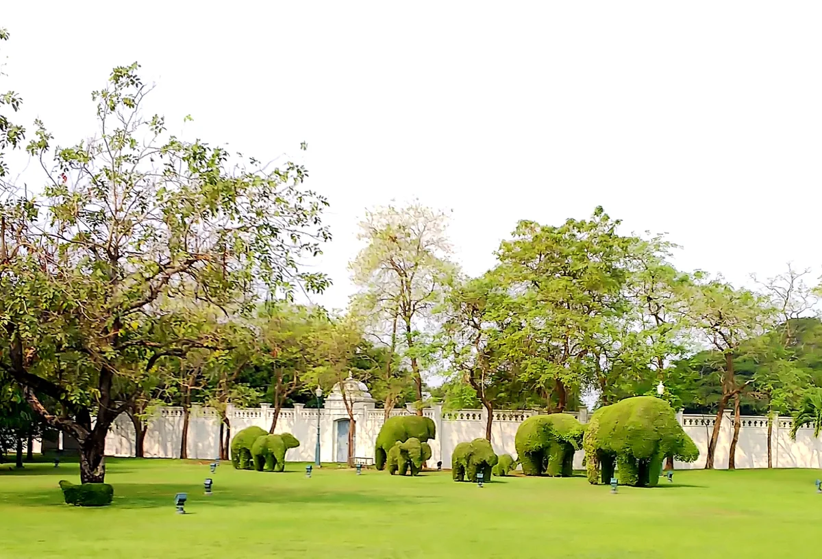投稿写真：植木が象さん