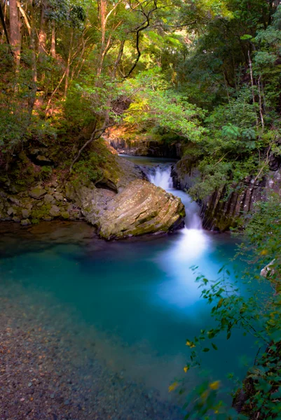 投稿：河津七滝　出合滝