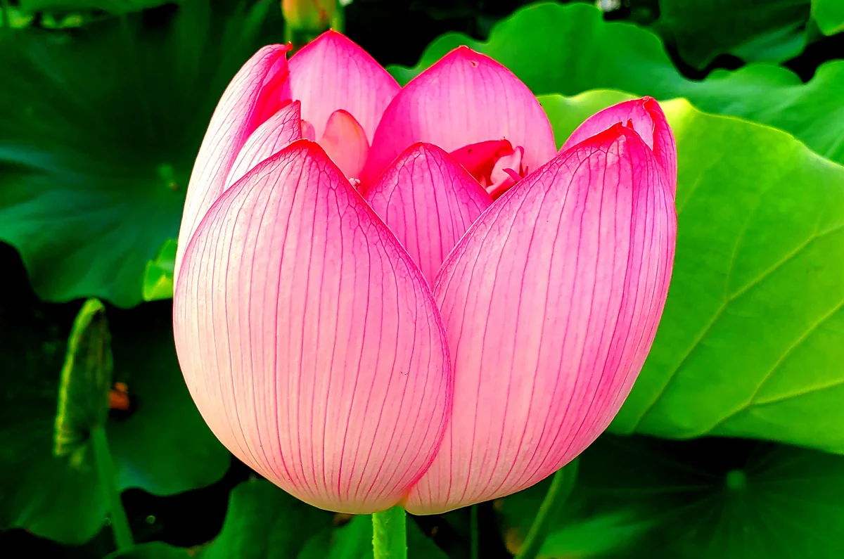 投稿写真：あともう少し