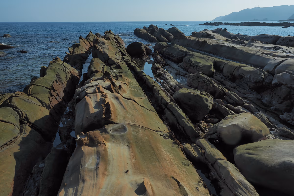 投稿写真：竜串海岸
