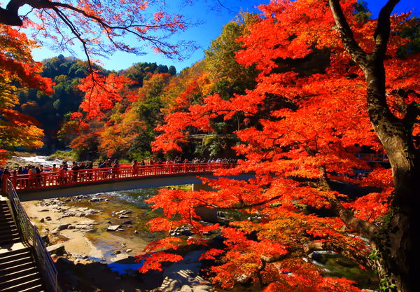 投稿：秋美景 足助の香嵐渓