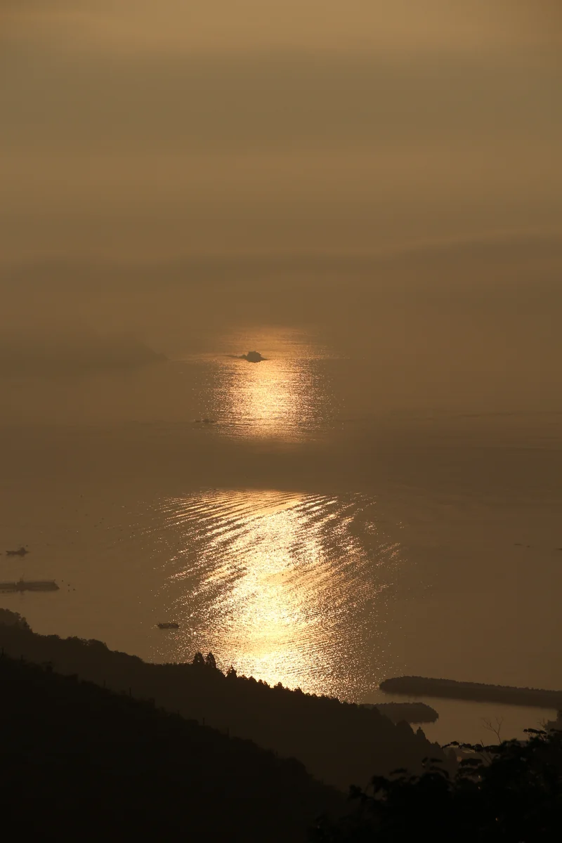 投稿写真：朝靄の光道