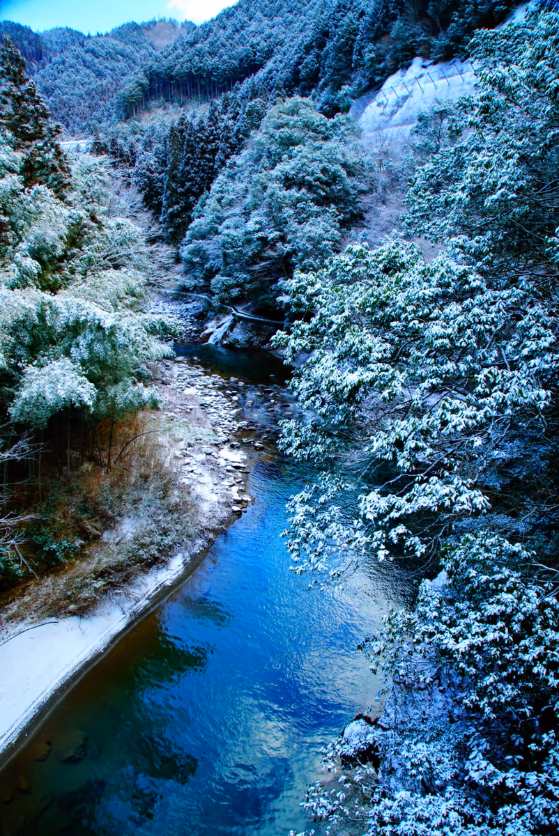 投稿写真：冬。