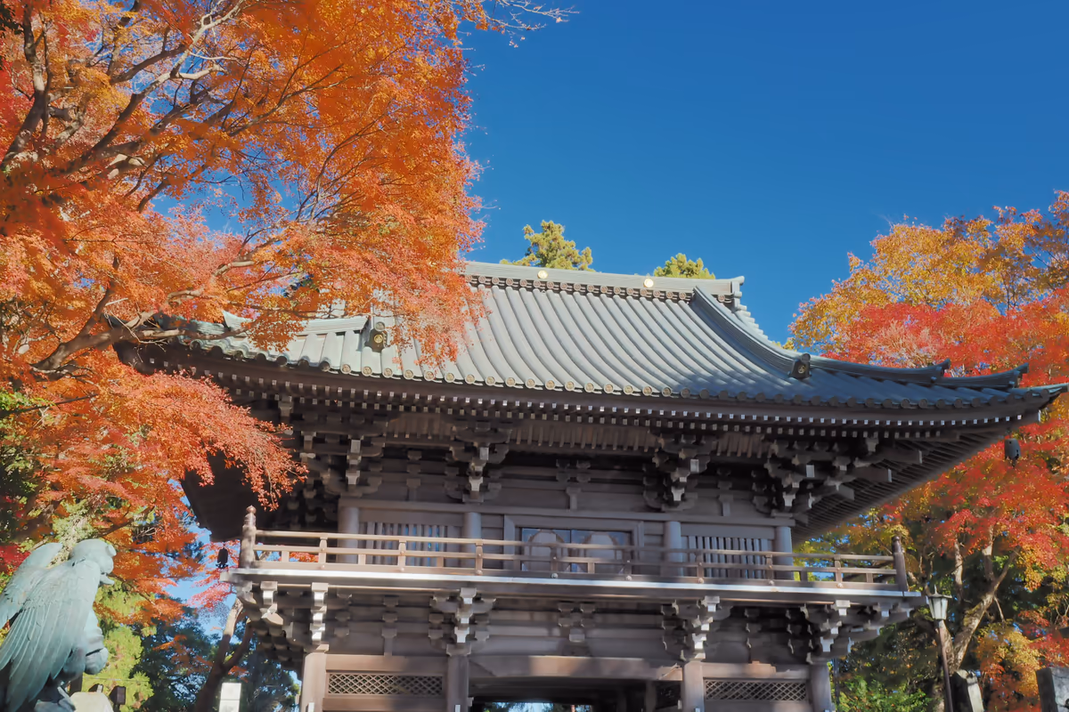 投稿写真：高尾山　薬王院山門　紅葉Ⅱ