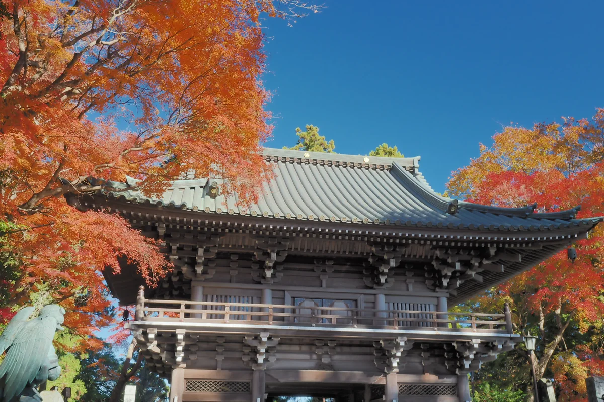 投稿写真：高尾山　薬王院山門　紅葉Ⅱ
