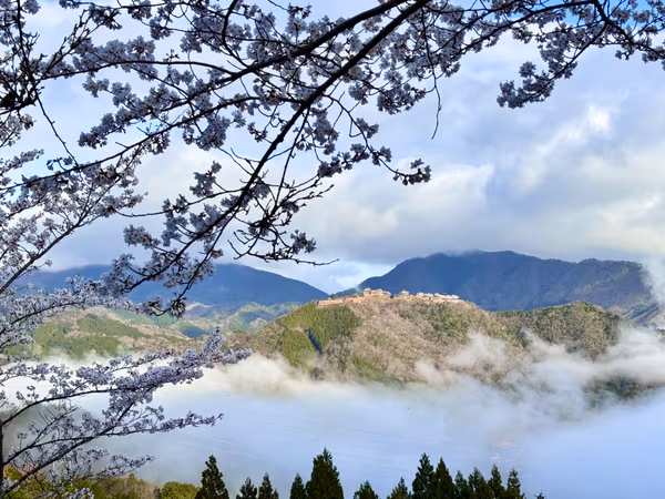 投稿：桜と雲海と天空の城
