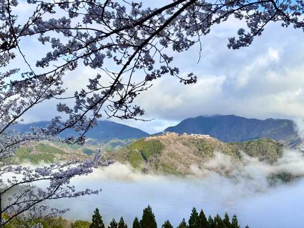投稿：桜と雲海と天空の城