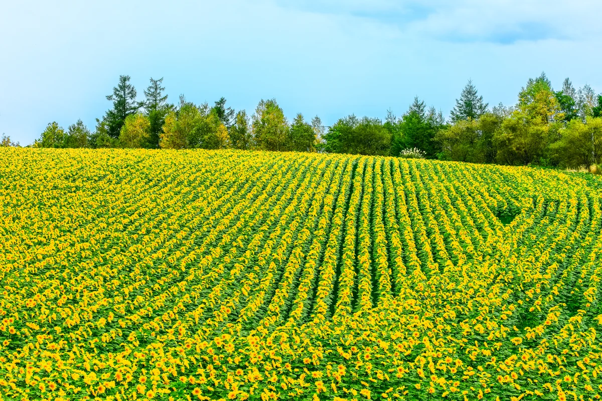 Akihiro Kuriyamaさんの投稿写真