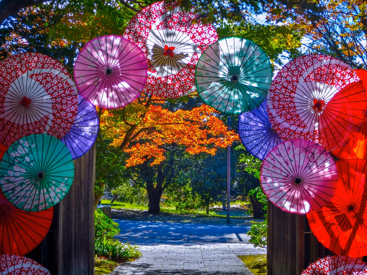 投稿写真：和傘の東門と紅葉