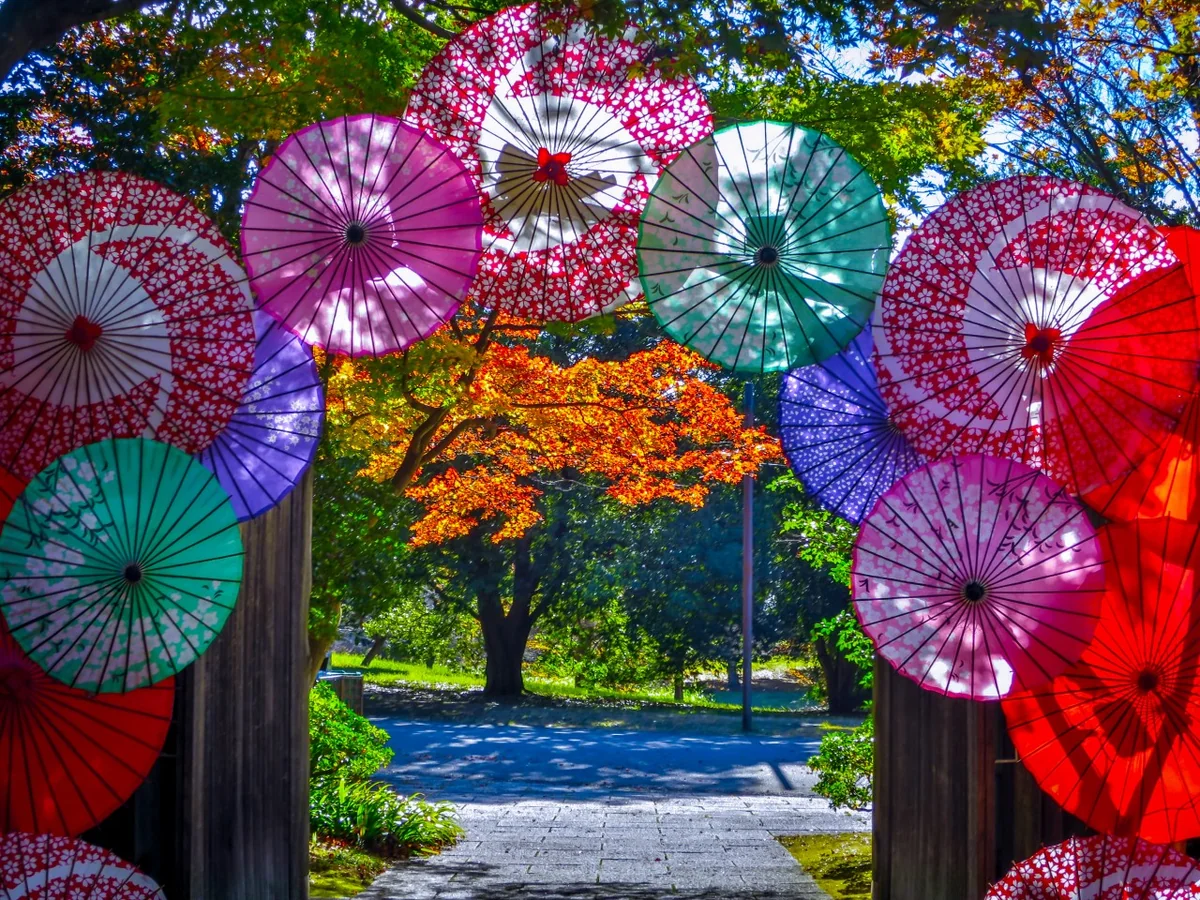 投稿写真：和傘の東門と紅葉