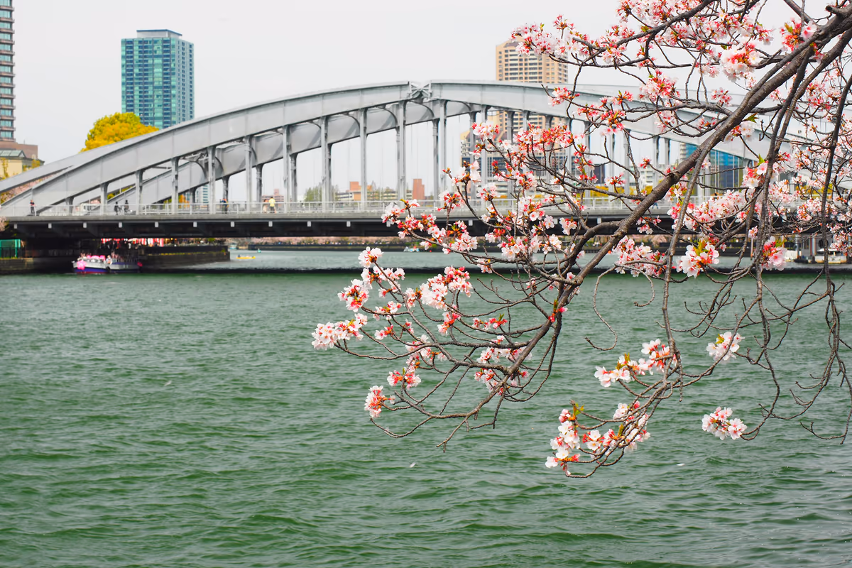 投稿写真：大阪桜宮橋