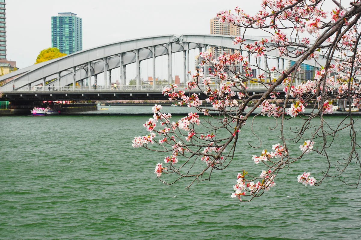 投稿写真：大阪桜宮橋