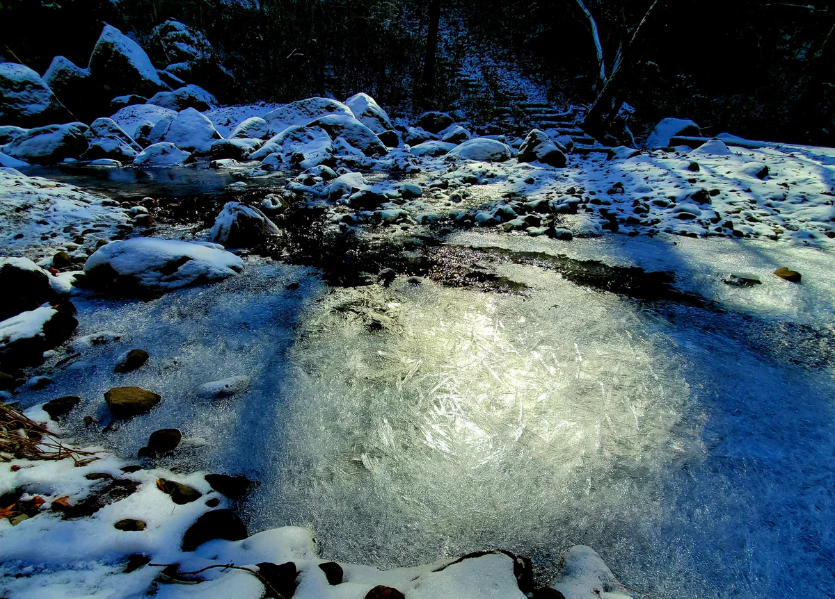 投稿写真：川がスケートリンクみた～い