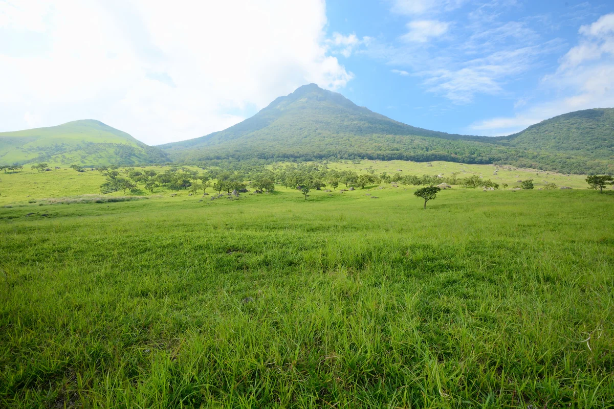 投稿写真：由布岳と大草原