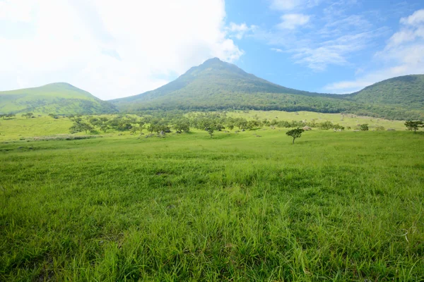 投稿：由布岳と大草原