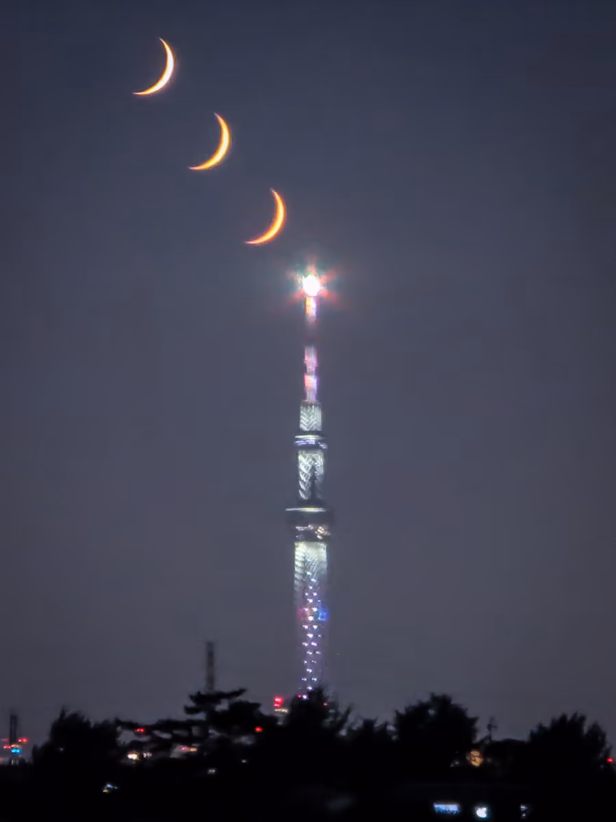投稿写真：スカイツリー目指して沈む四日月