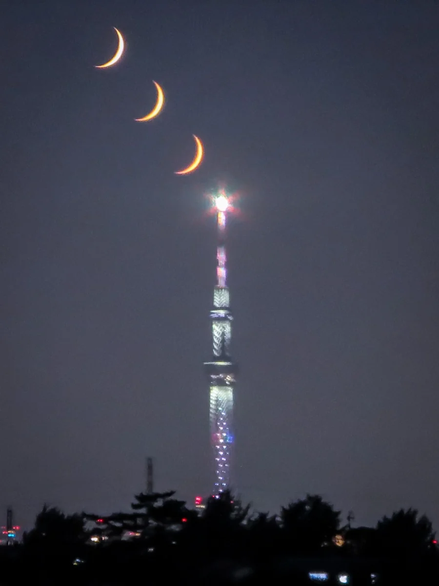 投稿写真：スカイツリー目指して沈む四日月
