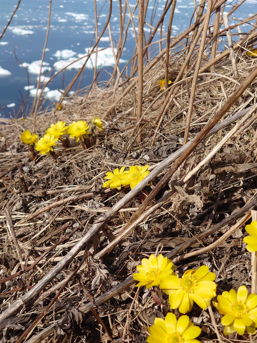 星明宏さんの投稿写真