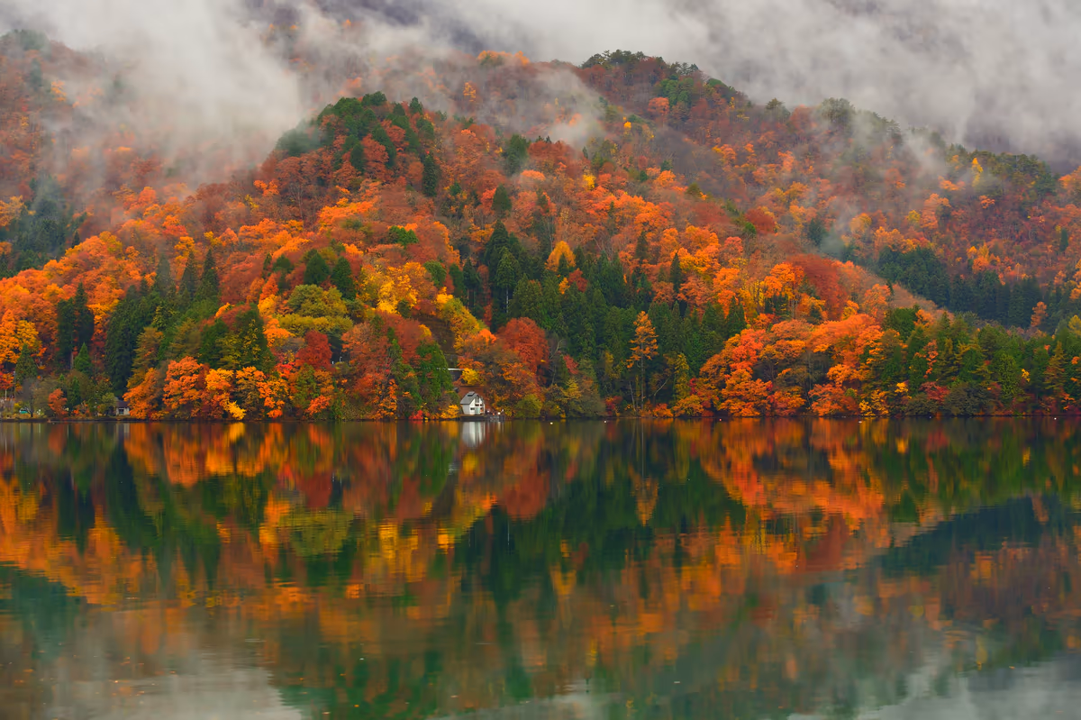 投稿写真：湖面に映る紅葉