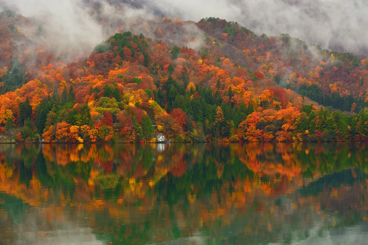 投稿写真：湖面に映る紅葉