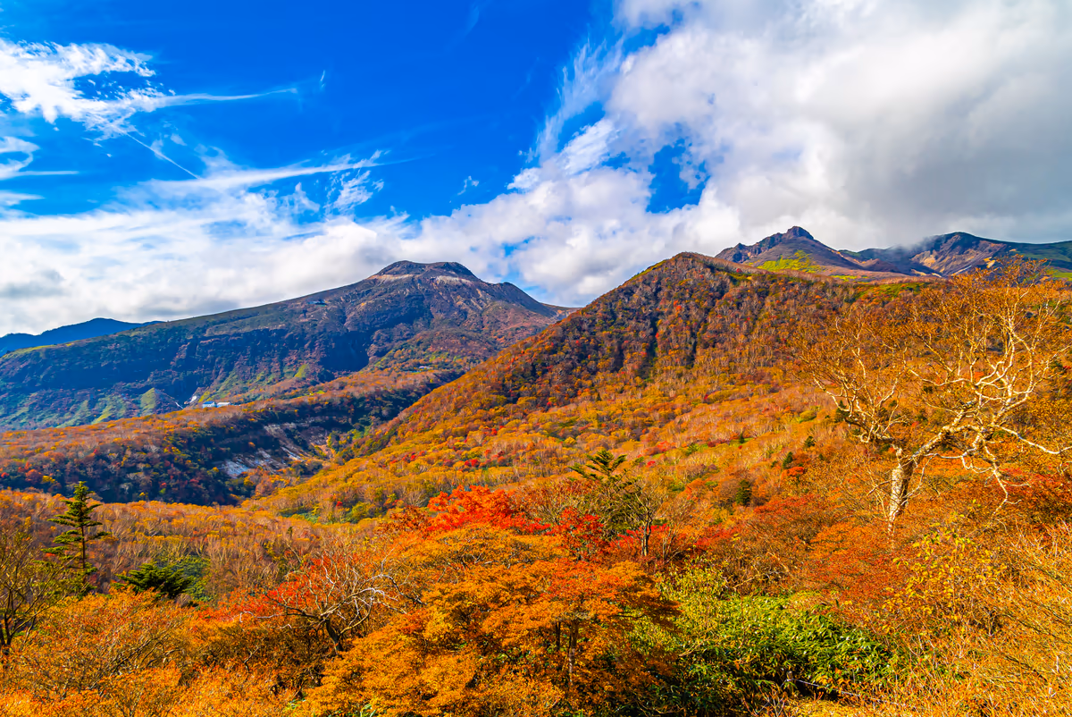 投稿写真：マウントジーンズ那須展望台から