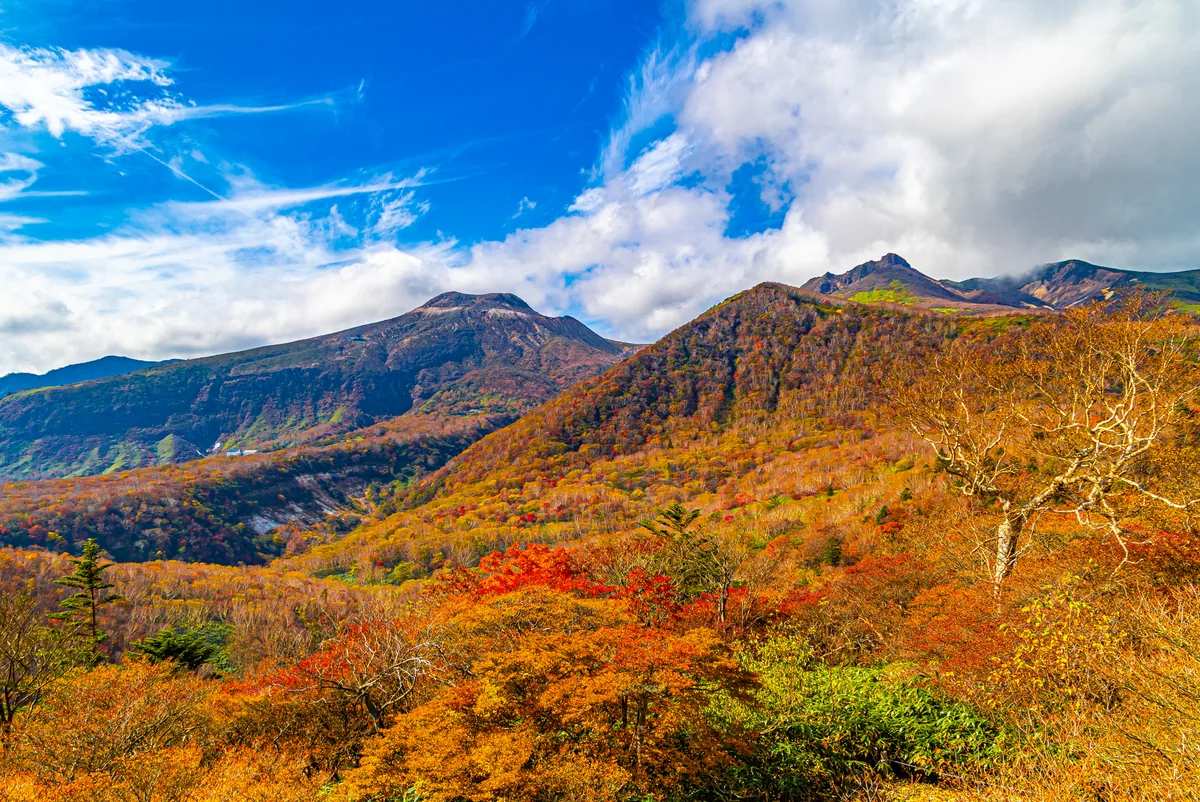 投稿写真：マウントジーンズ那須展望台から