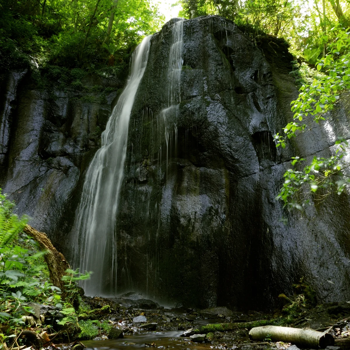 投稿写真：有明の滝