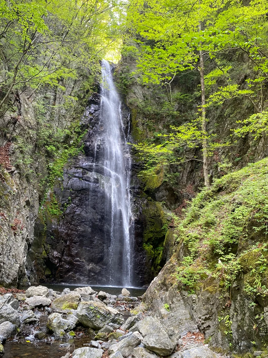 投稿写真：百尋の滝